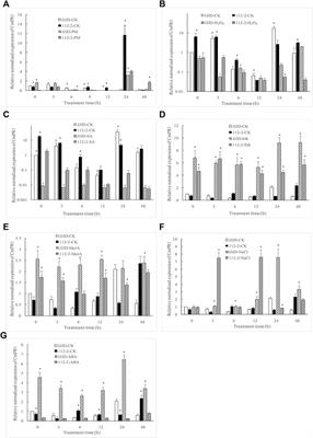 A pathogenesis-related protein 1 of Cucurbita moschata responds to powdery mildew infection